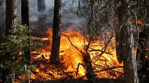 Dichiarazione stato di massima pericolosità per gli incendi boschivi su tutto il territorio regionale del Piemonte a partire dal giorno 08 luglio 2026